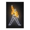 Póster de tela Freddie Mercury - Mielu