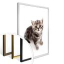 Póster gatita embarazada