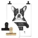 Plakat - Solti - Being normal is boring