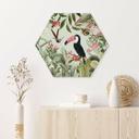Hexagon Dibond Tukan i et jungleparadis - UN Designs