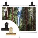 Plakat - Colombo - Waterfall forest