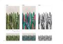 Fototapet med palmer sort, hvid, blomster 2,70 x 1,59 m