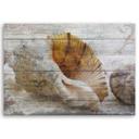 Canvasbillede, Skaller i vintagestil