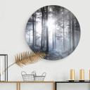 Tableau sur verre  Rayons de soleil dans la forêt bleue - Rond