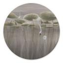 Wanddecoratie Lotusbloemen met zwaan in water in grijs - Ms Tiff - Alu-Dibond Rond