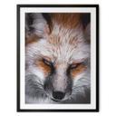 Póster retrato animal zorro rojo - Nagi