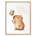 Plakat til børneværelset - Capybara med sommerfugl - Capy Diem