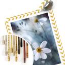 Póster Disher - La flor blanca