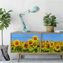 Muurprints Zonnebloemen - Panorama