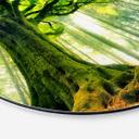 Tableau sur alu-Dibond rond Forêt de conte de fées