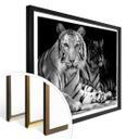 Plakat - To kongetigre - sort/hvid