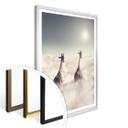 Plakat - Loose - Giant Giraffes