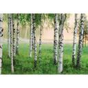 Fototapete Papiertapete Nordischer Wald - 8-teilig