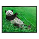 Póster Ben Heine - Panda feliz