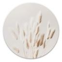 Tableau sur alu-Dibond 1X Studio - Herbes séchées - Rond