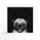 Billede af træ til at sætte op - Graves - Snuggle Pug - 15x15 cm