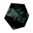 Hexagon Hout Kubistika - Jungle
