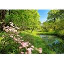 Fotobehang Papierbehang Park in de Lente - 366x254 cm