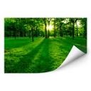 Zelfklevende Poster  Park in het groen