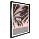 Póster 1X Estudio - Palmeras