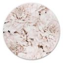 Tableau sur alu-Dibond 1X Studio - Reine marguerite abricot - Rond