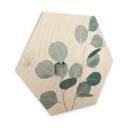 Hexagone - Bois Sisi & Seb - Eucalyptus bleu