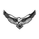 Decoración acrílica águila