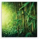 Canvasbillede, jungle bambus planter
