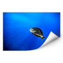 Zelfklevende Poster Catta - Deep Ocean