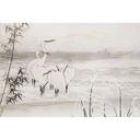 Guido Maria Kretschmer Fotobehang Art Edition Birds of Asia