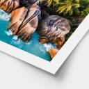 Póster Costa rocosa tropical de las Seychelles - Colombo