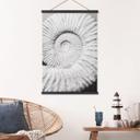 Tekstil plakat Fossil muslingeskal - Shot-by-Clint