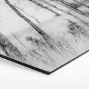 Hexagone - alu-Dibond Talen - Forêt de bouleaux noirs et blancs