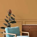 Vægfarve orange silkemat - COLOR Kitchen Saltet Karamel