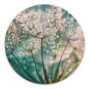 Tableau sur alu-Dibond Delgado - Pissenlit scintillant - Rond