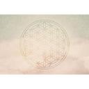 Architects Paper Papier peint photo Atelier 47 Flower of Life oriental