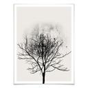 Plakat - Kubistika - Tree Study 03