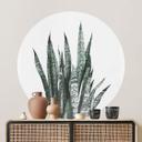 Wall Sticker Plante - Sisi & Seb