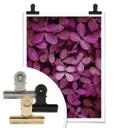 Poster - Feuilles roses