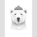 Korenkova - Fotomural de Oso Reina