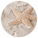 Vinilo decorativo Estrella de mar en playa dorada - Redondo