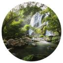 Vinilo decorativo cascada en el bosque - Redondo - Foto