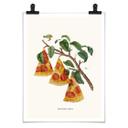 Póster Suelto - Pizzería