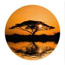 Plakat Afrika - Runde