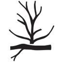 Muursticker Kale Boom + Wandhaken