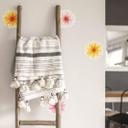 Gerbera Blomst