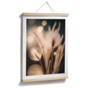 Póster Boho hierbas en luz dorada - Treechild