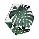 Hexagon Dibond Sisi & Seb - Monstera