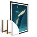 Plakat - Braun - Humpback Whale