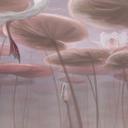 Natuur Fotobehang lotusbloemen met zwaan in het water in donkerroze - Ms Tiff